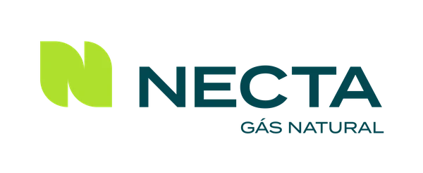 Logo Necta